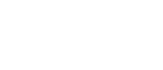 Fantastic Rooter Plumbing Logo