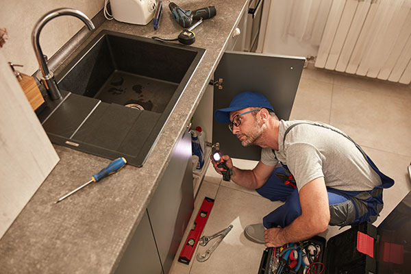 Kitchen Sink Inspection